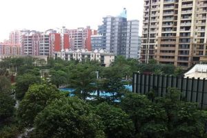 金地自在城3室2厅南北