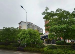 西江庭院3室2厅南北