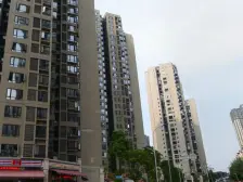 中交央企 巴国城精装洋房 出门即是公园,阳台朝公园