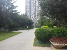 国贸天琴湾二期 3室1厅 南