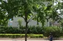 微波局宿舍实景图
