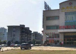 采光好,电梯小高层,地铁口,W府井河西步步高