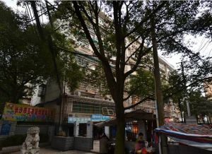 湘仪家园中区 3室1厅 南