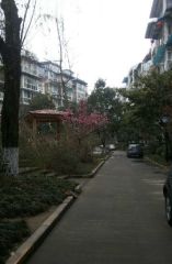 城市花园二期 3室2厅 东南