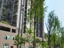 宏宁天成 2室1厅 北