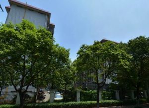开元路商圈,精装修三房,拎包入住……