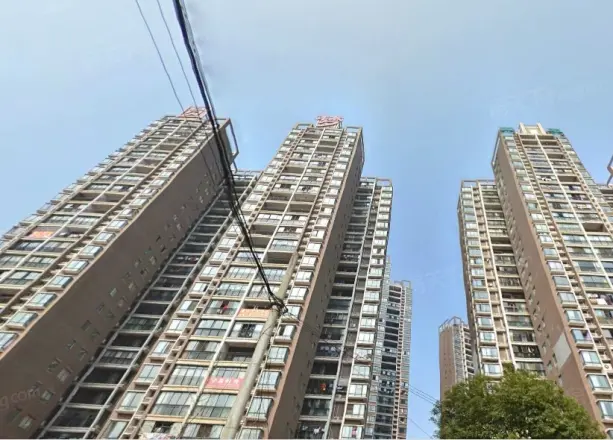 圆梦完美生活实景图