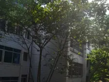 谢家湾 贤园小区三房148万