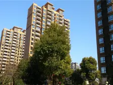 新虹桥首府(公寓) 1室1厅 南