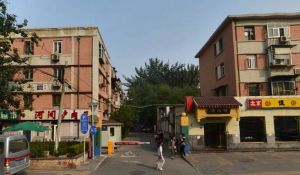 和平街十四区2室1厅南