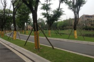 建发浅水湾6室3厅西南