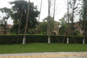 建发浅水湾6室2厅南东南