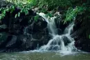 福临城周边配套图