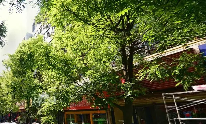 钟楼小区