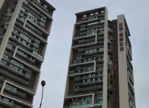 三利领事公馆 2室2厅 西北