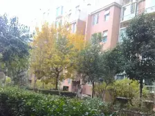 低密度 双气 大四居 南北通透 四开间朝南向 中间楼层