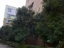 锦华苑,改善当选大平层,大平层当选均价低