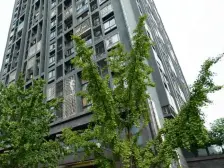 此房中间楼层,采光通风好,业主2016年住家装修