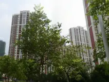 和美家园 DT口 两房毛坯 随意装修 出行方便