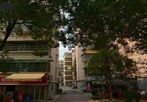 橘洲新苑3室2厅南