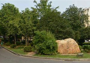 橘洲新苑 3室1厅 南 北