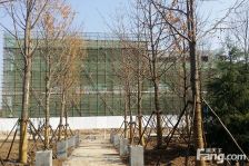 海尔首府一楼带院,元宝户型,套三双卫