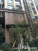 蓝光coco金沙二期1室1厅北