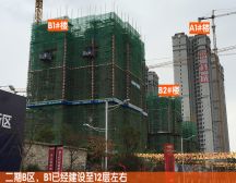 总部基地 精装两房 好楼层 采光好