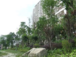 中港臻舍1室1厅南