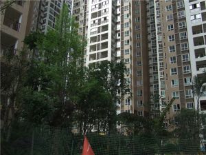 中港臻舍1室1厅东东南南西南