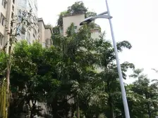 龙景苑 小高层 电梯洋房 户型方正 采光好