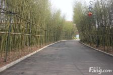 麓谷北,独栋别墅,花园600p,景观别墅,户型方正!!