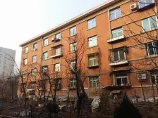 桃园小区工农适合各种人群采光好