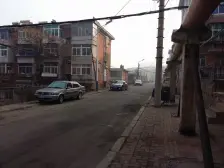 桃园小区 1室1厅 东 南