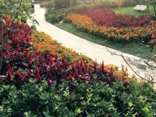 洋房社区,小区安静,居住环境优美,停车位充足