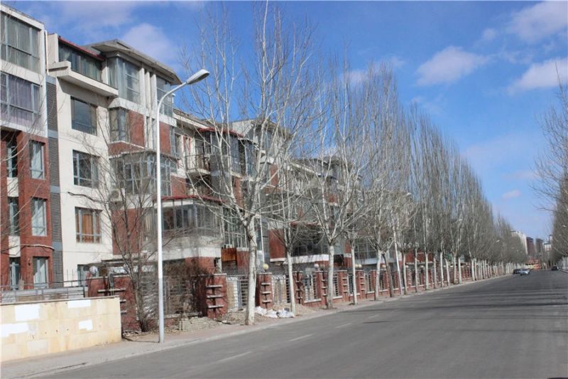 ���ҳ�,�޻����ͳ�,�ɽ���õ�忤,�����г�