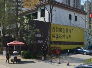 花样年花样城五期2室2厅南