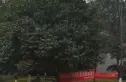 欣河苑实景图