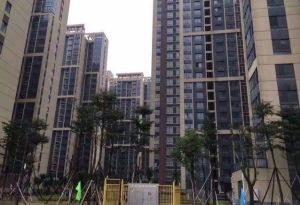 高新区、地铁口,24小时安保小区,户型方正