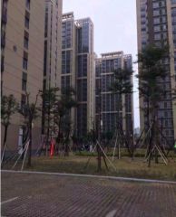 高新区厚庭地铁口总价低满五年没有土地出让金