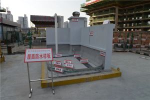阳光100凤凰社3室2厅南北
