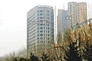 万达旁高品质洋房好楼层全天采光