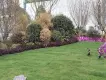 金科·观天下实景图