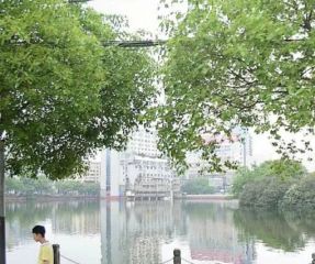 苏圃路208号2室2厅南北