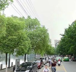 苏圃路1号二中宿舍南北通透,采光好装修好,环镜优美近地铁视野好,诚心出售