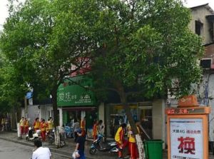 苏圃路208号2室2厅南北
