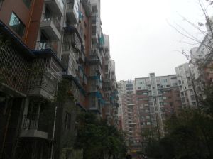 上林苑2室1厅东南