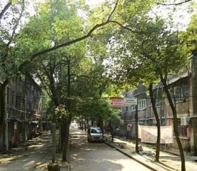 江西氨厂生活区户型方正,采光好装修好,环镜优美视野好,诚心出售