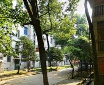 江西氨厂生活区南北通透,采光好视野好,诚心出售