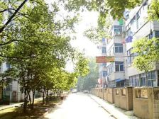 江西氨厂生活区户型方正,采光好视野好,诚心出售